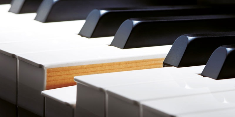 Die Holztastatur des Spitzenmodells GP-500.