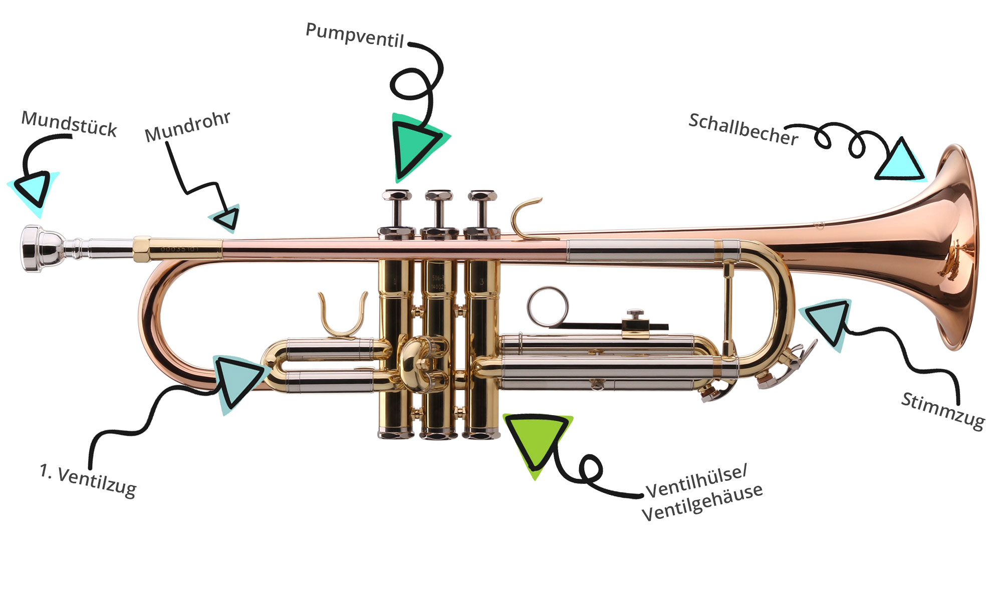 Aufbau Und Bauteile Von Blechblasinstrumenten Kirstein