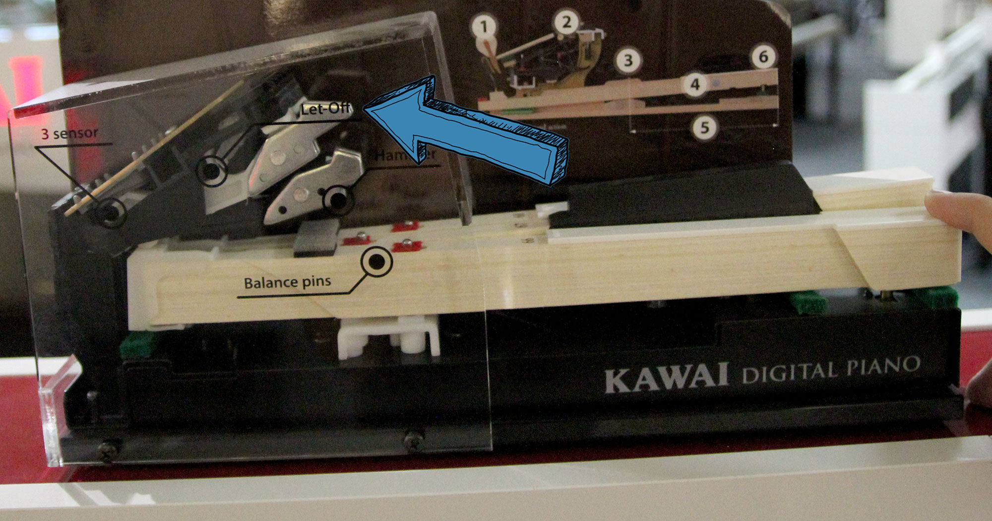 Wird die Taste heruntergedrückt, hebt das Ende der Taste die Mechanik im Digitalpiano an.
