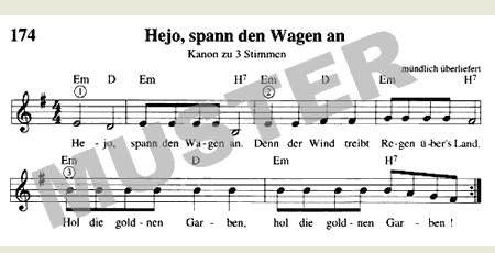 Da Capo Liederbuch Ringbuch