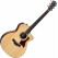 Taylor 214ce Plus