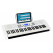 FunKey 61 Edition Pro wit