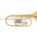 Lechgold FH-24GL Bb Flugelhorn, Lacquered