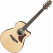 Ibanez AAM50CE-OPN Open Pore Natural