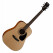 Cort AD810 Open Pore