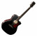 Cort Gold-A8 Black Top