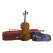 Stentor SR1500 1/2 Student II Vioolset