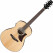 Ibanez AAM100E-NT Naturel Brillant
