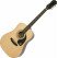 Epiphone Songmaker DR-100 Natural