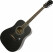 Epiphone Songmaker DR-100 Ebony