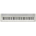 Casio CT-S1WE-76 Casiotone Keyboard Wit