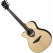 LAG HV30-L-ACE HyVibe 30 Lefty Auditorium