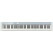 Casio PX-S1100 CB Privia Pianoforte Digitale Calm Blue