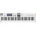 Arturia KeyLab Essential 61 mk3 White