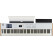 Arturia KeyLab 88 MK3 White