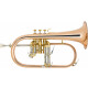 Lechgold FH-60G Flugelhorn Lacquered