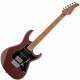 Cort G250 SE E-Gitarre Vivid Burgundy