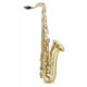 Classic Cantabile Winds TS-450 Brushed Tenorsaxophon  - Retoure (Zustand: sehr gut)