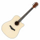 Rocktile WSD-101C NT Guitare Western