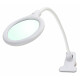 Showlite LL-3036D Lámpara Lupa LED 30x SMD-LED 6W 3 Dioptrías