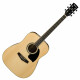 Ibanez PF15-NT Natural