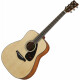 Yamaha FG800M Natural  - Retoure (Zustand: gut)