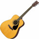 Yamaha F310 Natural  - Retoure (Zustand: sehr gut)