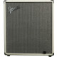 Fender Limited Edition Rumble 100 Ivory