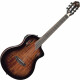 Ortega TourPlayer Deluxe Acacia Burst  - Retoure (Zustand: sehr gut)