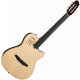Godin Multiac Nylon Deluxe  - Retoure (Zustand: sehr gut)