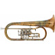 Lechgold FH-24GR Si? Flicorno Non Laccato