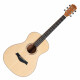 Shaman WSF-10 NT Folkgitaar