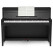 Piano Numérique Classic Cantabile UP-1 SM - 88 Touches Marteaux - 256 Polyphonie - Noir