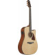 Ibanez AAD51CE-NT Guitarra Acústica Western Natural High Gloss