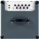 Darkglass Microtubes 500 Combo 210