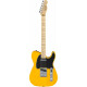 Fender Standard Telecaster Butterscotch Blonde Set