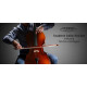 Classic Cantabile Student Cello 3/4 Set incl. Arco e Custodia