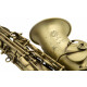 Selmer Altsaxophone Patiné