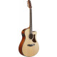 Ibanez AAM50CE-OPN Open Pore Natural