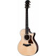 Taylor Next Generation 312ce (2026)
