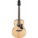 Ibanez AAM100E-NT Naturel Brillant