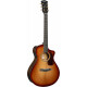 Cort Gold MC6 Light Burst
