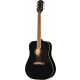 Epiphone Hummingbird Tribute Ebony