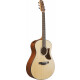 Ibanez AAM50-OPN Open Pore Natural