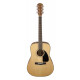 Fender CD-60 V3 DS Natural