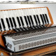 Alpenklang Pro Accordeon IV 96 CM Olijf
