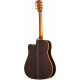Epiphone Hummingbird Deluxe EC Natural