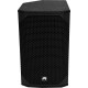 Omnitronic AZX-212A 2-Wege Top Aktiv 250W
