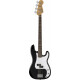 Fender Standard Precision Bass Black Set