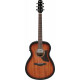 Ibanez AAM140E-MHS Acajou Sunburst Brillant